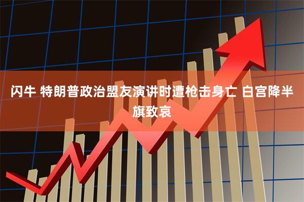 闪牛 特朗普政治盟友演讲时遭枪击身亡 白宫降半旗致哀