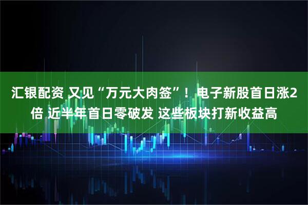 汇银配资 又见“万元大肉签”！电子新股首日涨2倍 近半年首日零破发 这些板块打新收益高